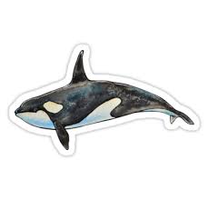Pin On Tmblr