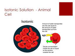 Maybe you would like to learn more about one of these? Unit 4 Transport Of Materials Key Questions 1 Why Must Materials Enter And Leave Cells 2 What Materials Need To Enter And Leave Cells 3 What Role Ppt Download
