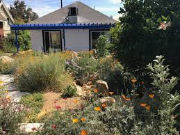 5 Garden Landscape Design Styles That Use Drought Tolerant California Native Plant California Native Plants California Native Landscape Garden Landscape Design