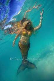 Pregnant Mermaid Underwater Mermaid Bonnie Photo