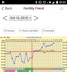 positive bfp bbt charts mumsnet