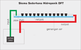 Dengan starterkit hidroponik nft/dft ini anda bisa mendapatkan sayuran sehat untuk keluarga tercinta anda. Mengenal Sistem Tanam Hidroponik Wick Nft Dan Dft Khusus Pemula