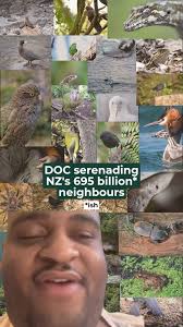 From DOC Director-General, Penny Nelson