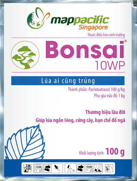 Bonsai 10WP