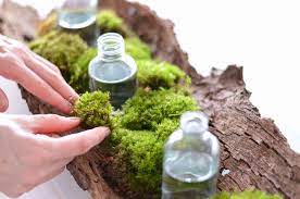 Ich gebe zu diesem zweck immer steckschwamm uner das moos, er hält die feuchtigkeit besser. Tischdekoration Zu Ostern Selber Machen Ein Fruhlingshaftes Gesteck Auf Baumrinde Blumigo