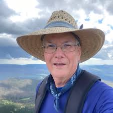 Amazon.com.br: Dennis Waller: livros, biografia, última atualização