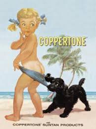 Image result for Light Coppertone 1972 Fedders