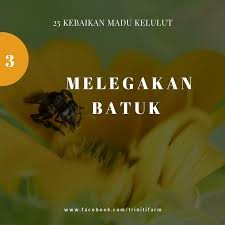 √ 1 sudu kecil madu kelulut bersamaan dengan 10 sudu kecil madu biasa. Triniti Farm 25 Kebaikan Madu Kelulut Madu Kelulut Facebook