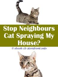 Pin En Cat Spray Deterrent Ideas