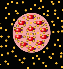 Hamoglobin A1c Ubersicht