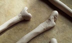 Check out this video tutorial now! Modeling Clay Faux Femur Bones A Tutorial