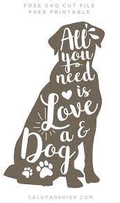 Pin On Dog Fun