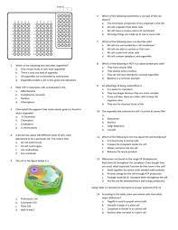 We did not find results for: Which Of The Following Best Describes Organelles Only Certain Kinds