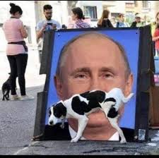 Gesti inattaccabili.