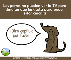 Fichas de CURIOSIDADES sobre animales para niños de primaria