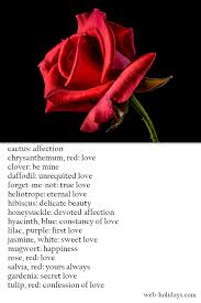 The Meaning Of Flowers Flower Meanings Love Is Sweet Flowers