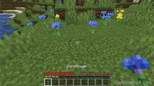 How To Make A Cornflower In Minecraft