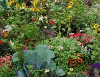 Master Gardener Series
