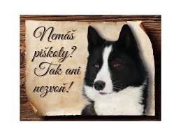 Image result for karelský medvědí pes