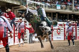 What Is The Calgary Stampede? | The Sun