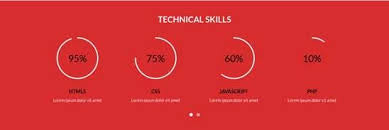 displaying user skills with pie chart in percentage user