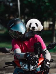 So to all bts fans, go, go, go, go. Foodpanda Rider With Panda Foodpanda Rider Takes Panda With Him On Last Day Of Work Adorable Pictures Go Viral Trending Viral News