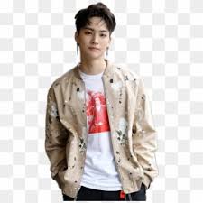 Jb dancing to red velvet songs #gotvelvet #gotvelvet #jaegi #jaebeom #jayb #seulgi #kangseulgi #redvelvet #got7. Kpop Png Transparent For Free Download Page 4 Pngfind