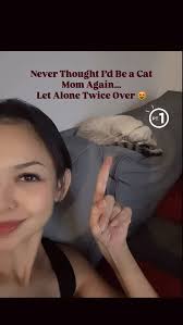 Never Thought I’d Be a Cat Mom Again… Let Alone Twice Over 😻 Part 1