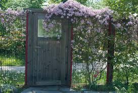 Wenn Die Zaune Bluhen Der Gartentrend 2019 Clematis Stauden Kletterpflanzen