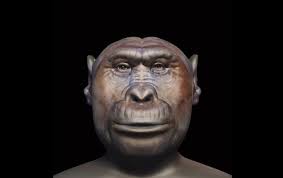 How To Reconstruct The Face Of An Extinct Human Ancestor Ancestor Human Face