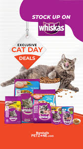 Cat Day Sale Continues Stock Up On Whiskas In 2020 Cat Day Cat Food Kitten Food