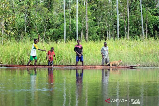 West Papua Partners With ICBA to Unlock Sustainable Forest Carbon Value