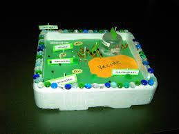 How i designed this completely designed in microsoft's 3d builder cell model designed based on. Cell Project Mr Knapp S Webpage