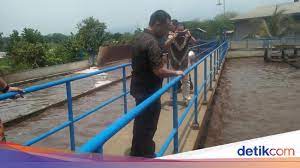 Pt teh gelas alamat wangi pandaan : Dituding Cemari Sungai Wangi Produsen Teh Gelas Hentikan Produksi