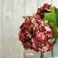 With its large balls of petals, some measuring 25 cm across, these flowers there's also plenty of choice when it comes to flower shape. Artificial Red Hydrangea Hydrangea Flower