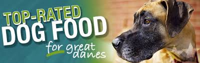 What Is The Best Dog Food For A Great Dane