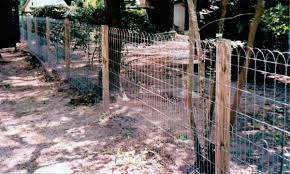 Old Fashioned Yard Ornamental Wire Fencing Farm Fence Vinyl Fence Wire Fence