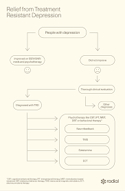 Image result for Refractory Depression Management
