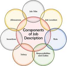 Any job vacancy can not be filled until and unless hr manager has these two sets of. Job Description Vs Job Specification Difference And Comparison The Investors Book