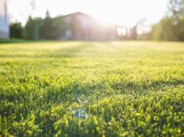 Robert has already done a lot of work on his lawn and asked how he can. Spring Lawn Care Tips Learn How To Care For Spring Lawns