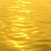 Source of life gold chewables deliver all of the outstanding wholesome nutrition found exclusively in source of life gold products. 1