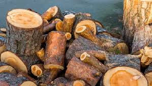 Contact complete stump & tree removal inc. 1 Rated Tree Removal Kitchener Waterloo Cost Calculator