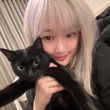 妹妹：大哥， 人家說公貓會尾巴盤在前腳前面的坐著， 都是比較溫文儒雅的個性， 我可以抱他嗎？ 老闆：喔！隨妳。 三分鐘後。。。。。。  妹妹：大哥，你看他好乖喔！ 兩隻前腳趴在我胸前在呼嚕呼嚕耶！ 老闆：。。。。。。