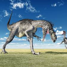 Weighed as much as a bag of sugar; 14 Velociraptor Facts For Kids And Dinosaur Enthusiasts