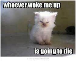 Clean Funny Stuff Sanitaryum Clean Humor Clean Funny Pictures Videos Gifs Animal Jokes