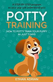 Potty Training For Puppies Complete Guide How To Potty Train Your Puppy In Just 7 Days A Step By Step Potty Training Puppy Training Your Puppy Puppy Training