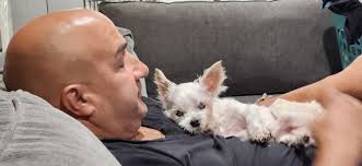 Owner says goodbye to beloved therapy dog Sandy