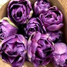 Orders and deliveries are temporarily affected by a technical issue with our server, but will be back to normal soon. A New Grower S Guide To Selling Flowers At A Farmers Market