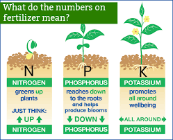 What Do The Numbers On Bags Of Fertilizer Mean Find Out With This Helpful Infographic Plant Nutrients Fertilizer Plants