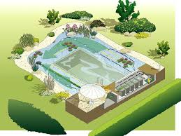 Alles Uber Schwimmteiche Schwimmteich Naturschwimmbecken Schwimmteich Anlegen
